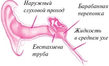 Ваш малыш от рождения до двух лет Ваш малыш от рождения до двух лет