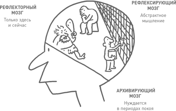 Мозг освобожденный. Как предотвратить перегрузки и использовать свой потенциал на полную мощь Мозг освобожденный. Как предотвратить перегрузки и использовать свой потенциал на полную мощь