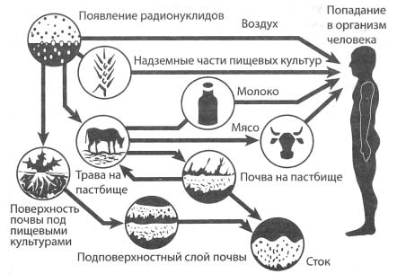 Чернобыль, Припять, далее Нигде… Чернобыль, Припять, далее Нигде…