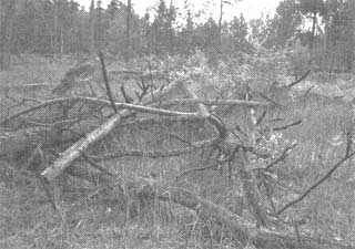 Чернобыль, Припять, далее Нигде… Чернобыль, Припять, далее Нигде…