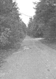 Чернобыль, Припять, далее Нигде… Чернобыль, Припять, далее Нигде…