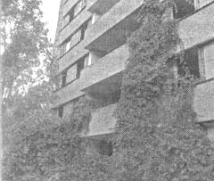 Чернобыль, Припять, далее Нигде… Чернобыль, Припять, далее Нигде…