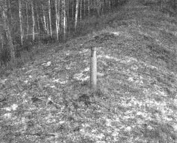 Чернобыль, Припять, далее Нигде… Чернобыль, Припять, далее Нигде…