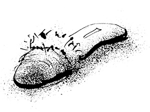 Путешествие на Тандадрику Путешествие на Тандадрику