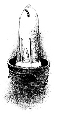 Путешествие на Тандадрику Путешествие на Тандадрику