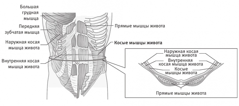 Совершенное тело за 4 часа Совершенное тело за 4 часа