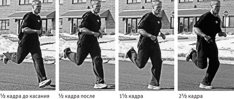 Совершенное тело за 4 часа Совершенное тело за 4 часа
