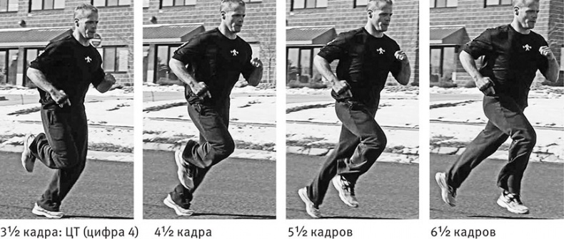 Совершенное тело за 4 часа Совершенное тело за 4 часа
