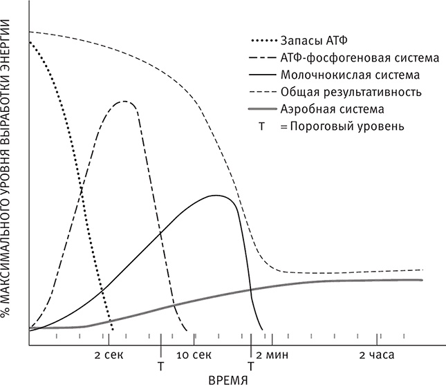 Совершенное тело за 4 часа Совершенное тело за 4 часа