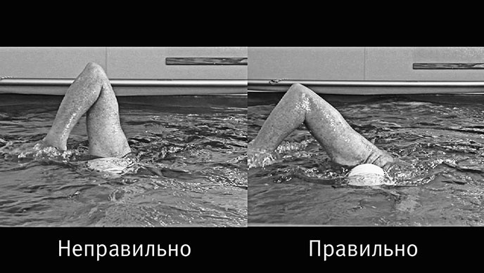 Совершенное тело за 4 часа Совершенное тело за 4 часа