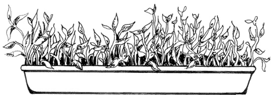 Ковчег для Робинзона. Все о жизни морского кочевника Ковчег для Робинзона. Все о жизни морского кочевника