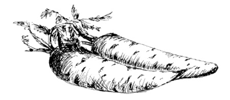 Ковчег для Робинзона. Все о жизни морского кочевника Ковчег для Робинзона. Все о жизни морского кочевника