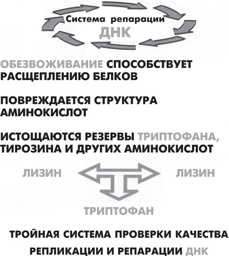 Вода – натуральное лекарство от ожирения, рака, депрессии Вода – натуральное лекарство от ожирения, рака, депрессии