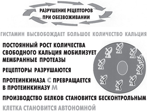 Вода – натуральное лекарство от ожирения, рака, депрессии Вода – натуральное лекарство от ожирения, рака, депрессии