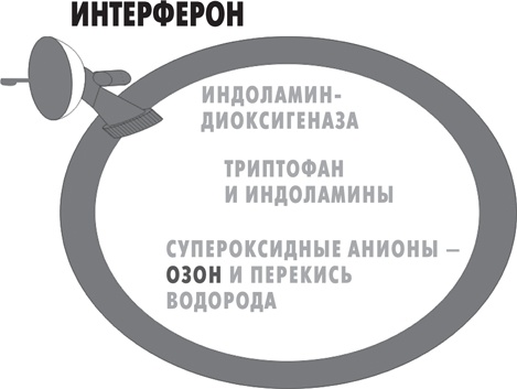 Вода – натуральное лекарство от ожирения, рака, депрессии Вода – натуральное лекарство от ожирения, рака, депрессии