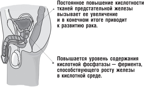 Вода – натуральное лекарство от ожирения, рака, депрессии Вода – натуральное лекарство от ожирения, рака, депрессии