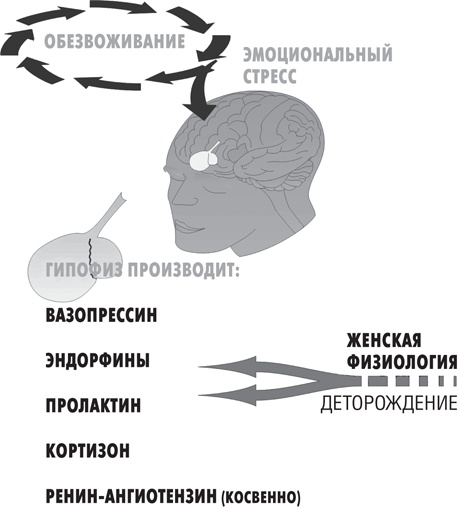 Вода – натуральное лекарство от ожирения, рака, депрессии Вода – натуральное лекарство от ожирения, рака, депрессии