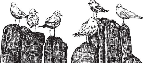 Живые домики. С вопросами и ответами для почемучек Живые домики. С вопросами и ответами для почемучек