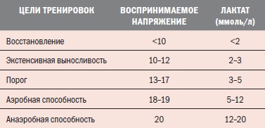 Библия велосипедиста Библия велосипедиста