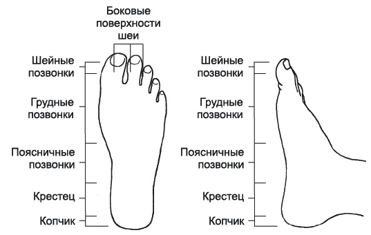 Грыжа позвоночника. Безоперационное лечение и профилактика Грыжа позвоночника. Безоперационное лечение и профилактика