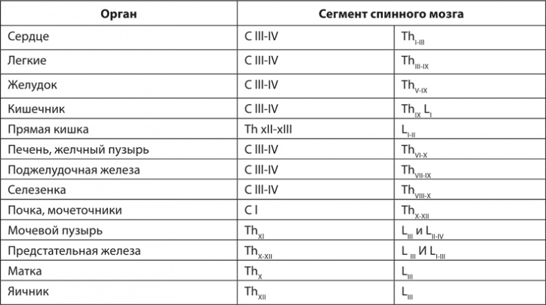 Атлас. Практический массаж Атлас. Практический массаж