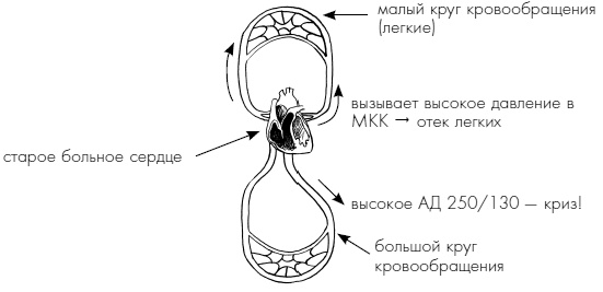 Пока едет "Скорая". Рассказы, которые могут спасти вашу жизнь Пока едет "Скорая". Рассказы, которые могут спасти вашу жизнь
