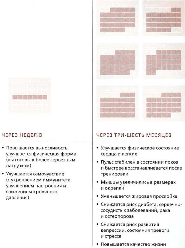 Книга о теле Книга о теле