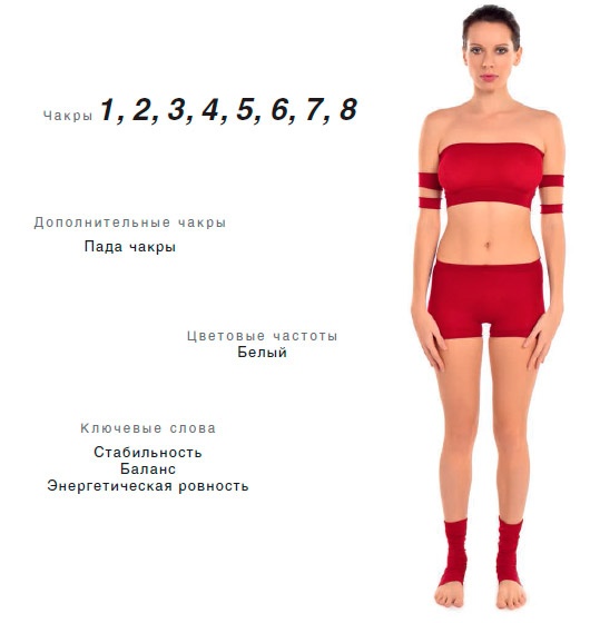Энергетика йоги. Практический курс Энергетика йоги. Практический курс