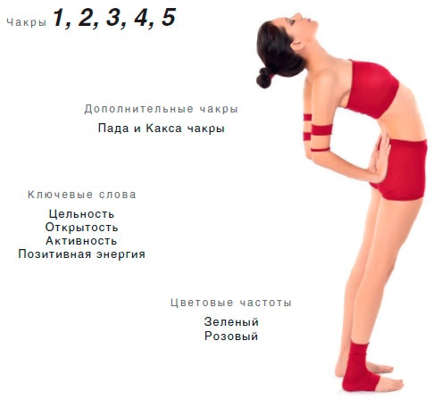 Энергетика йоги. Практический курс Энергетика йоги. Практический курс