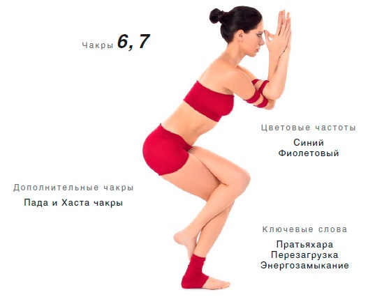 Энергетика йоги. Практический курс Энергетика йоги. Практический курс