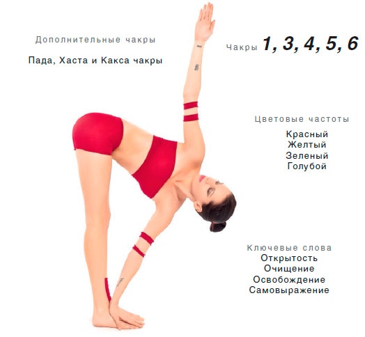 Энергетика йоги. Практический курс Энергетика йоги. Практический курс