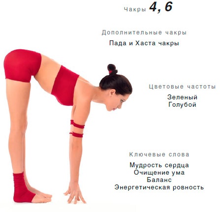 Энергетика йоги. Практический курс Энергетика йоги. Практический курс