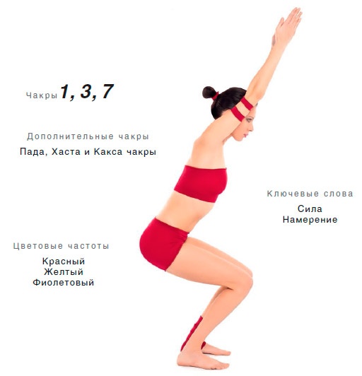 Энергетика йоги. Практический курс Энергетика йоги. Практический курс