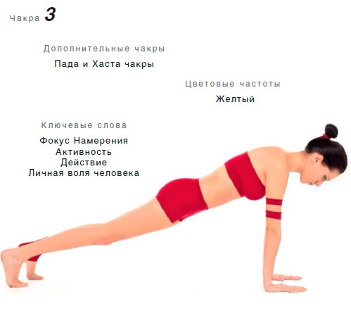 Энергетика йоги. Практический курс Энергетика йоги. Практический курс