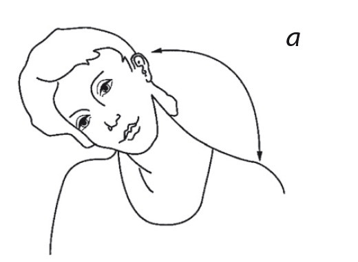 Свободный разум. Практики для тела, души и духа Свободный разум. Практики для тела, души и духа