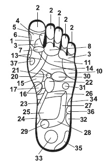 Точки болезни и здоровья на ваших ступнях Точки болезни и здоровья на ваших ступнях