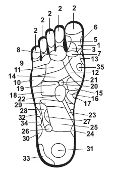 Точки болезни и здоровья на ваших ступнях Точки болезни и здоровья на ваших ступнях