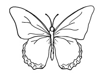 Ложка йода для щитовидной железы Ложка йода для щитовидной железы