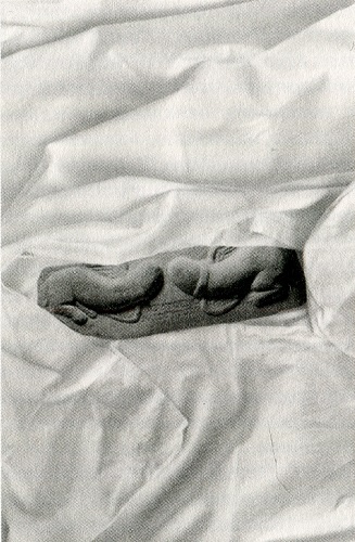 Эротоэнциклопедия Эротоэнциклопедия