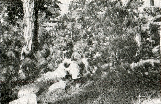 Эротоэнциклопедия Эротоэнциклопедия