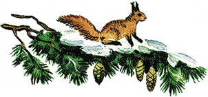Лесной голосок (сборник) Лесной голосок (сборник)