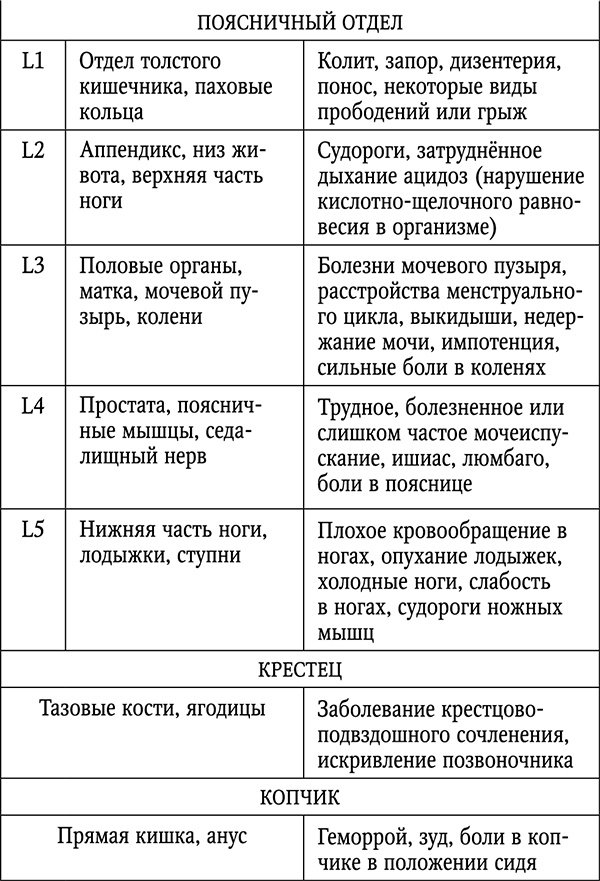 Чтобы спина не болела: лучшие лечебные упражнения Чтобы спина не болела: лучшие лечебные упражнения