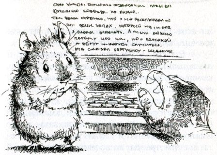 Фредди. Жизнь, полная риска Фредди. Жизнь, полная риска
