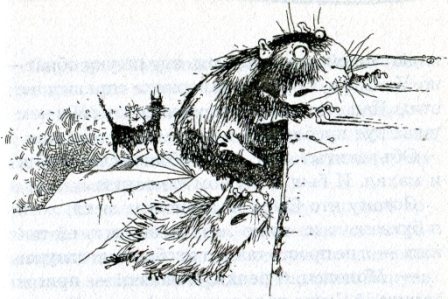 Фредди. Жизнь, полная риска Фредди. Жизнь, полная риска