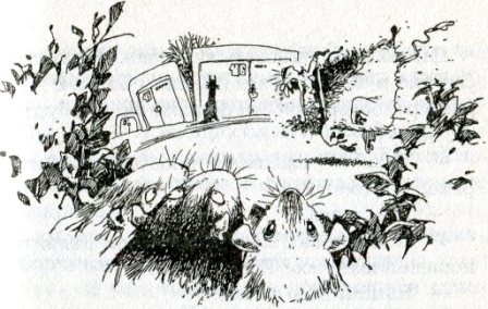 Фредди. Жизнь, полная риска Фредди. Жизнь, полная риска