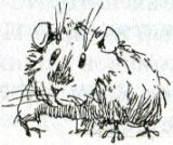 Фредди. Жизнь, полная риска Фредди. Жизнь, полная риска