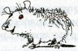 Фредди. Жизнь, полная риска Фредди. Жизнь, полная риска
