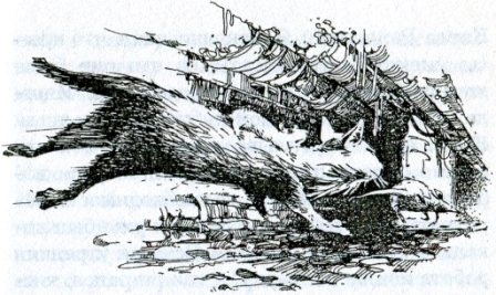 Фредди. Жизнь, полная риска Фредди. Жизнь, полная риска