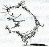 Фредди. Жизнь, полная риска Фредди. Жизнь, полная риска