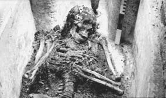 Апология Грозного царя. Иоанн Грозный без лжи и мифов Апология Грозного царя. Иоанн Грозный без лжи и мифов